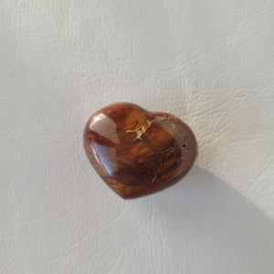 Petrified Wood Guiding Heart Stone