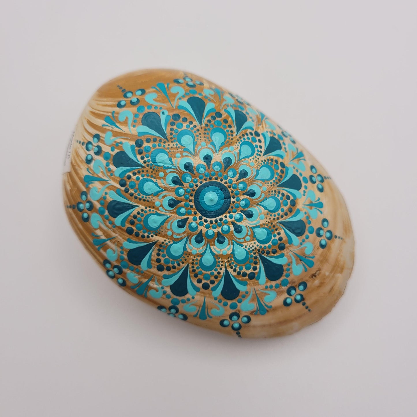 Bivalve Clam Shell Fossil Mandala - Bdotartsy