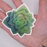 Cargar imagen en el visor de la galería, Echeveria Succulent Sticker (singles/bundle)
