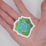 Cargar imagen en el visor de la galería, Echeveria Succulent Sticker (singles/bundle)
